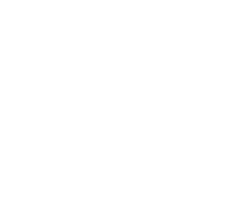 20 Four consulting white logo